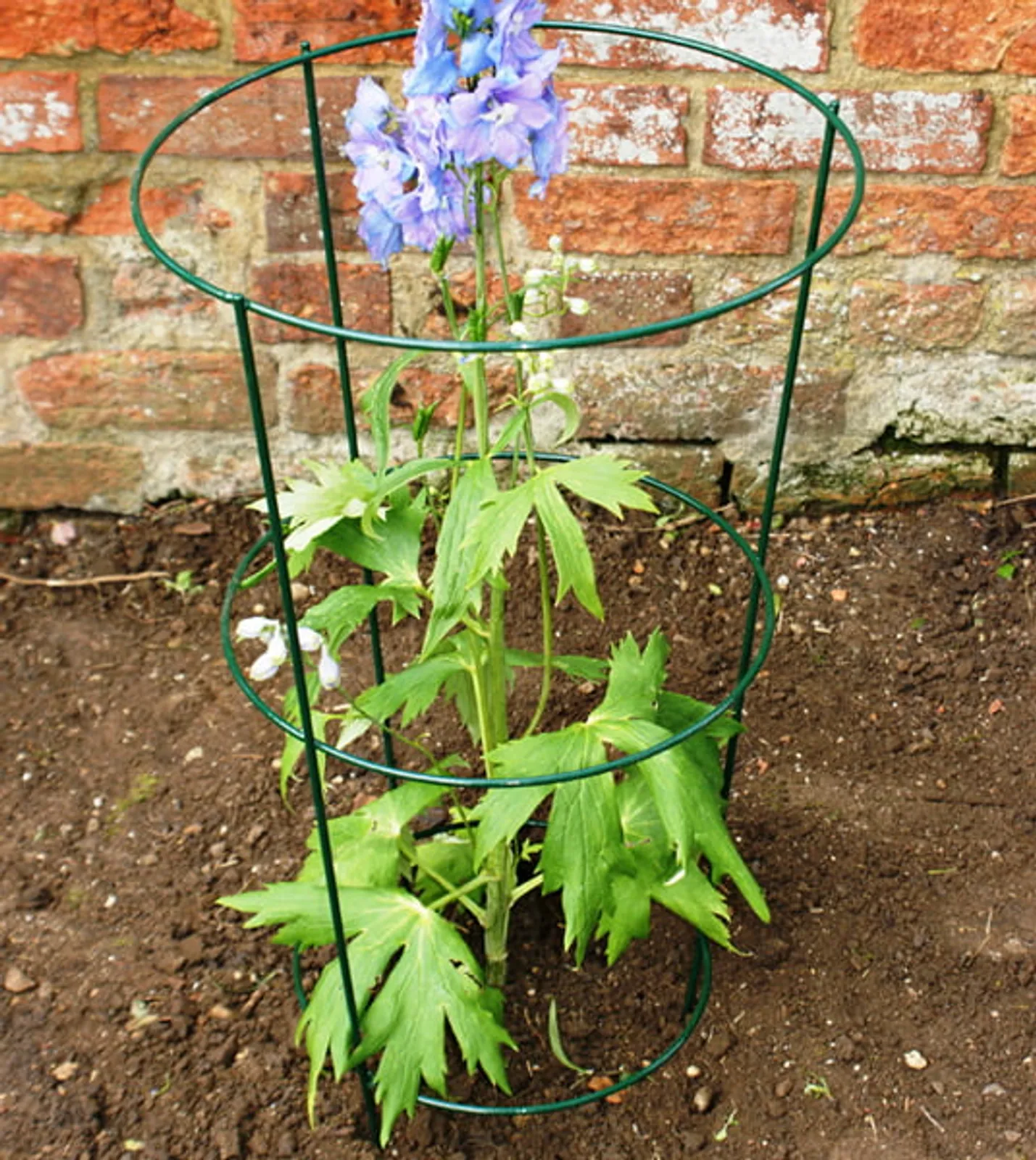 Växtstöd Runt Ø25 cm Höjd 61 cm - bild 1