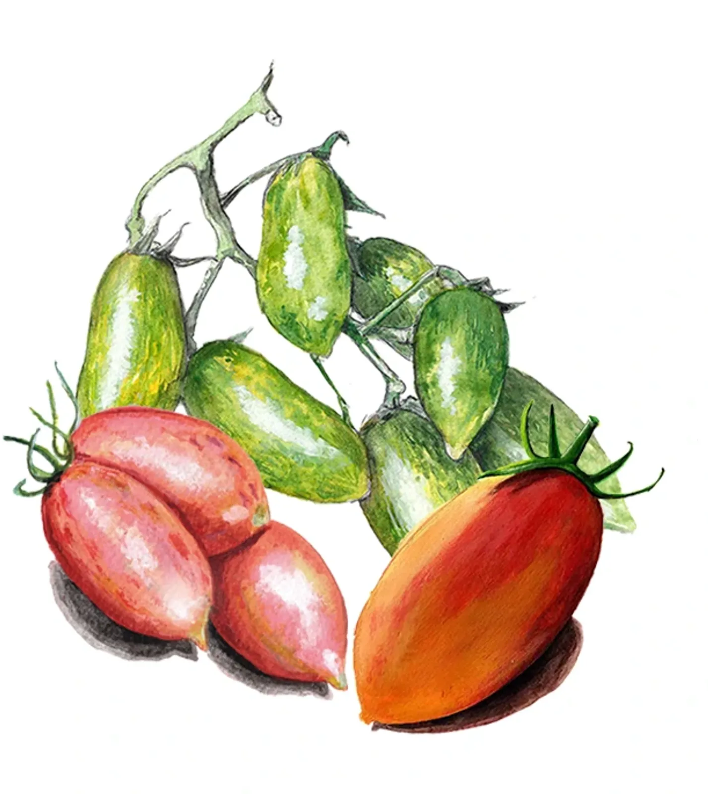 Plommontomat 'Artisan Mix', frö - bild 1