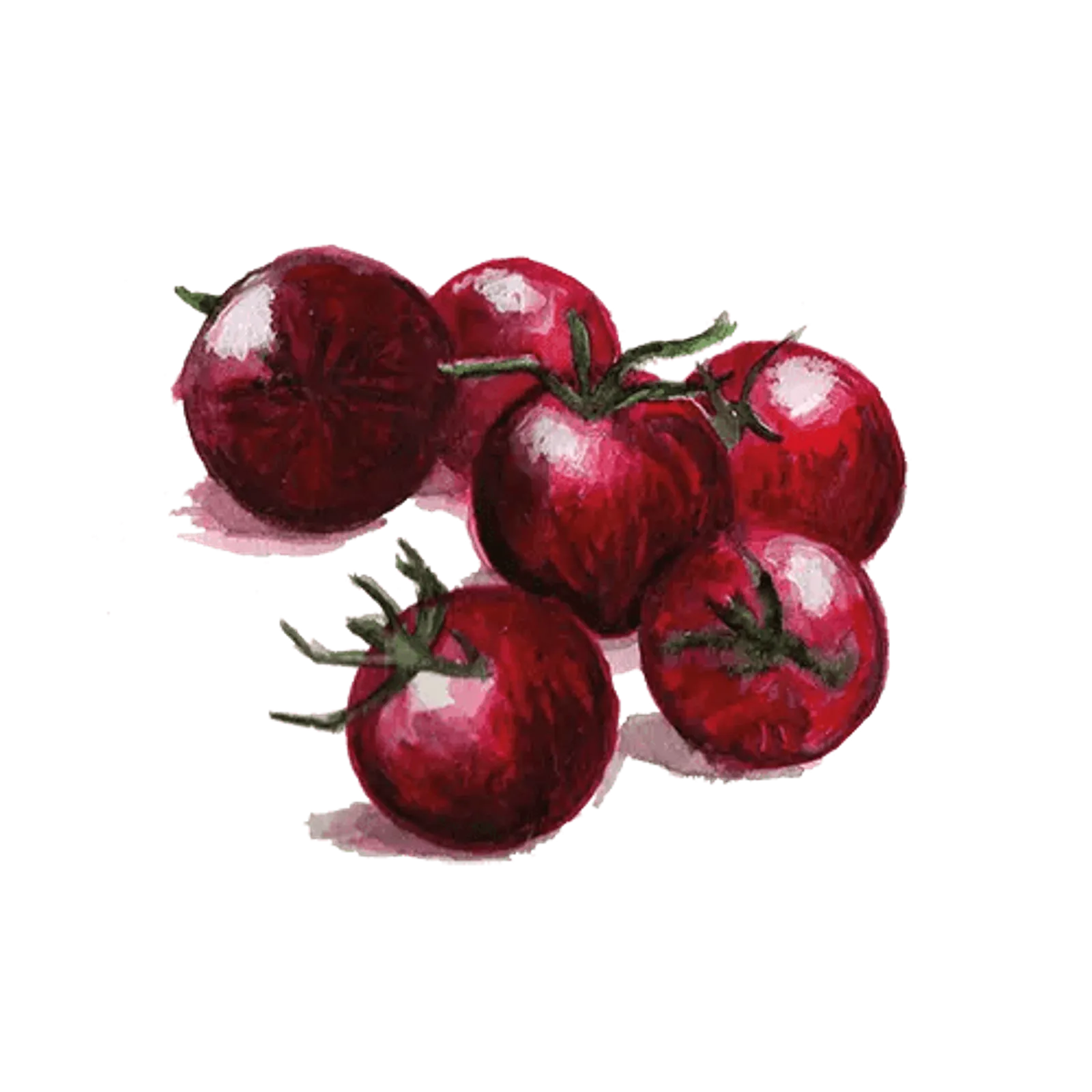 Körsbärstomat 'Black Sweet Cherry', Frö - bild 1