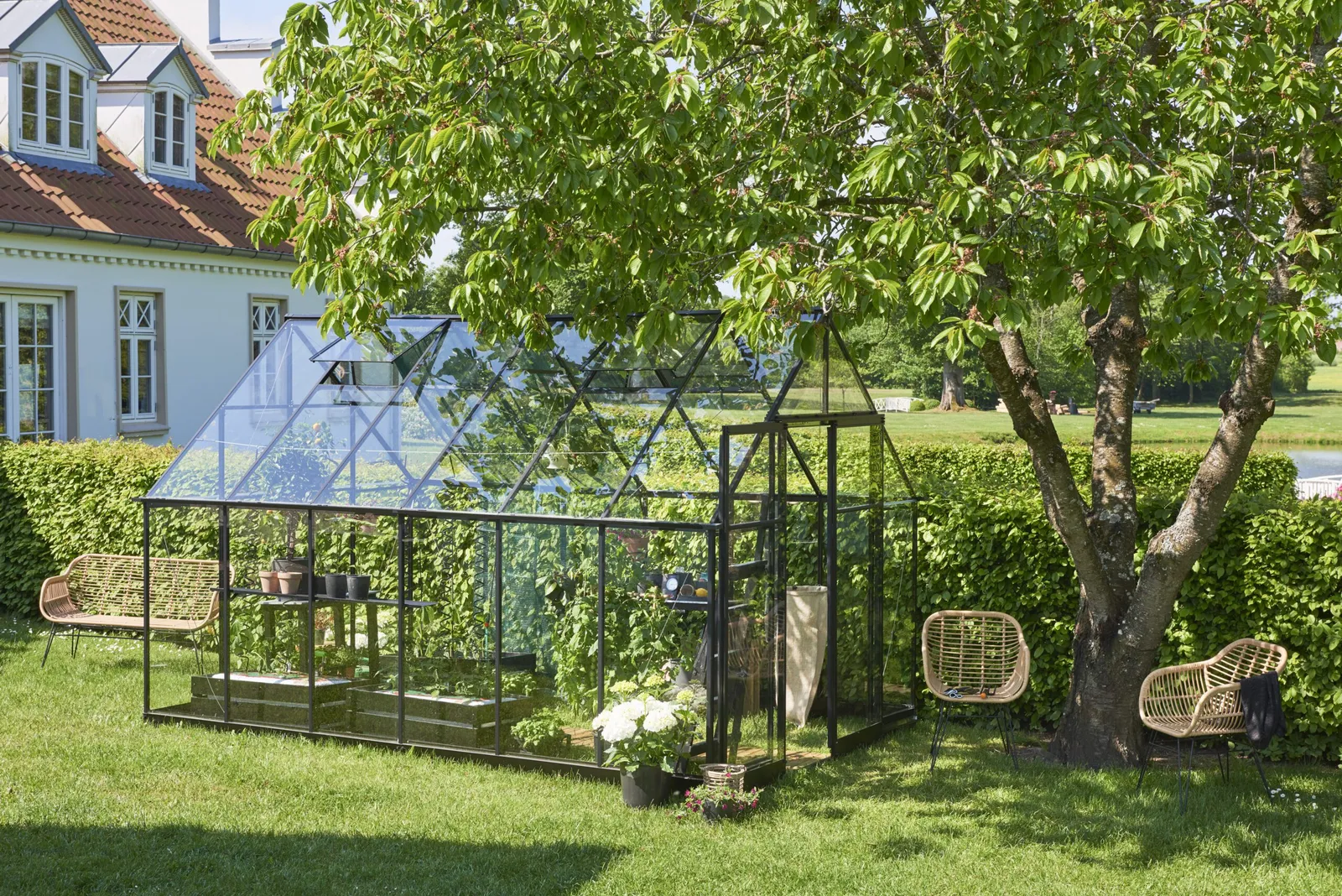 Växthus Halls Qube+ 812 Svart 9,9 m² Härdat Glas - bild 1