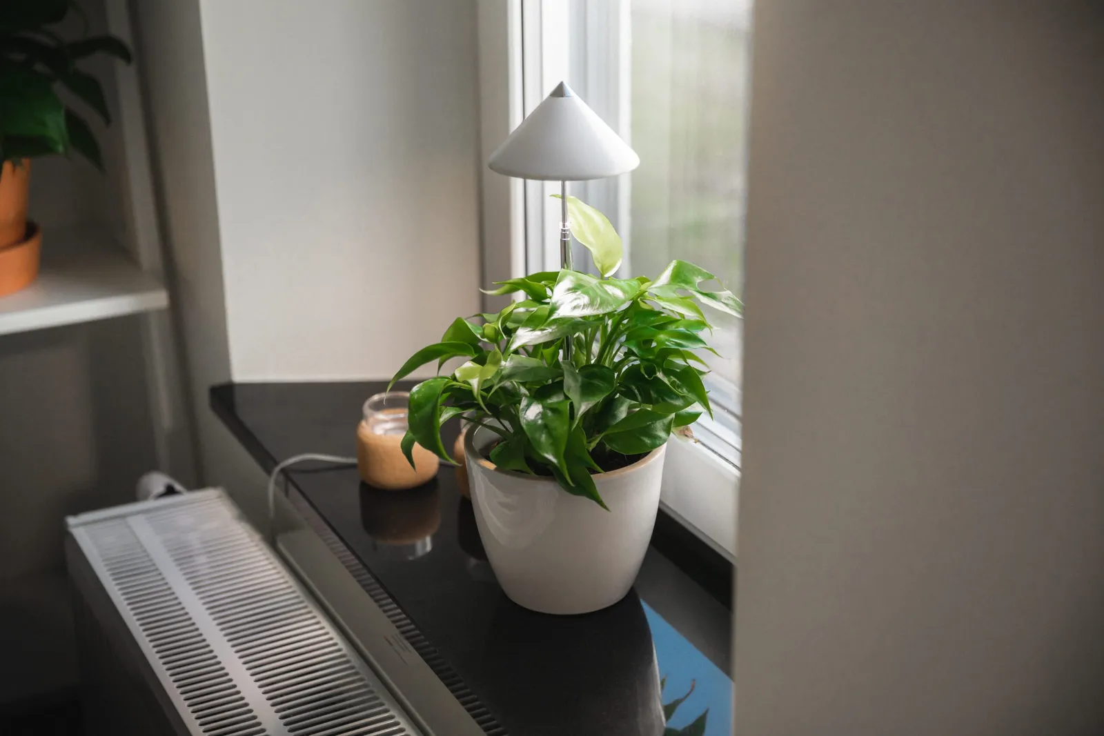 Växtlampa Venso Sunlite Vit 7W - bild 1