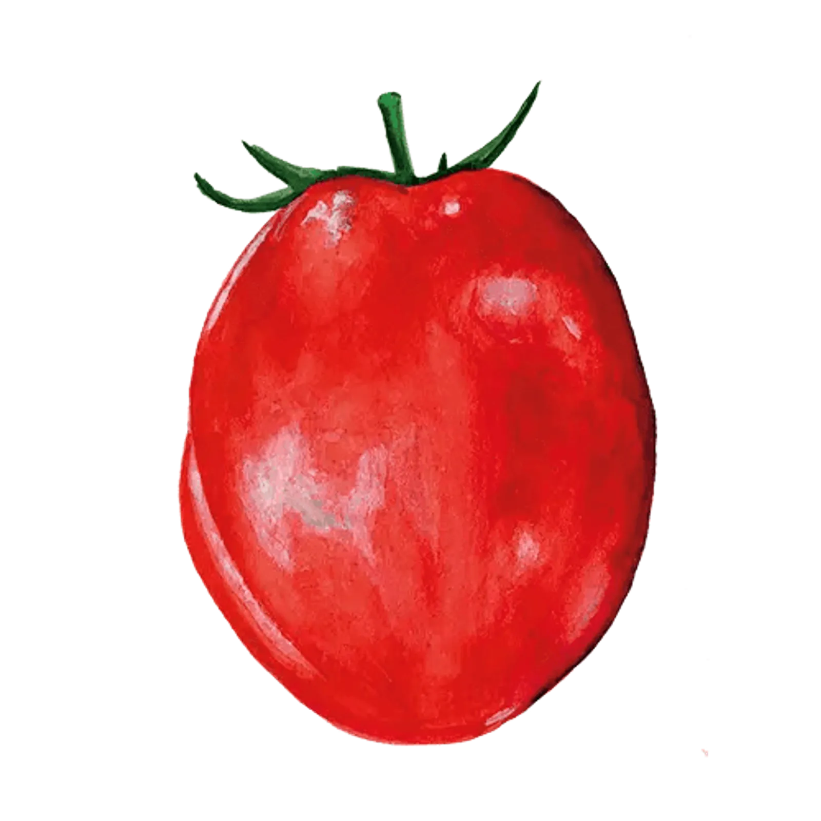 Tomat 'Amish Paste', Frö - bild 1