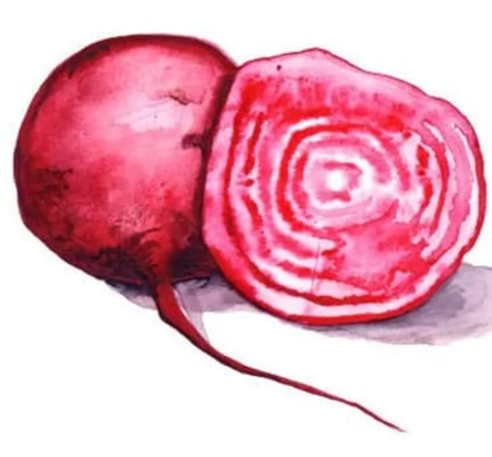 Polkabeta 'Chioggia', Frö - bild 1