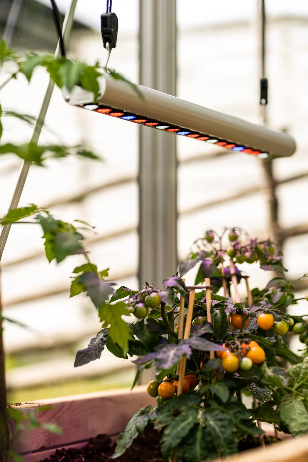 Växtarmatur Venso Growlight Quattro 35W - bild 1