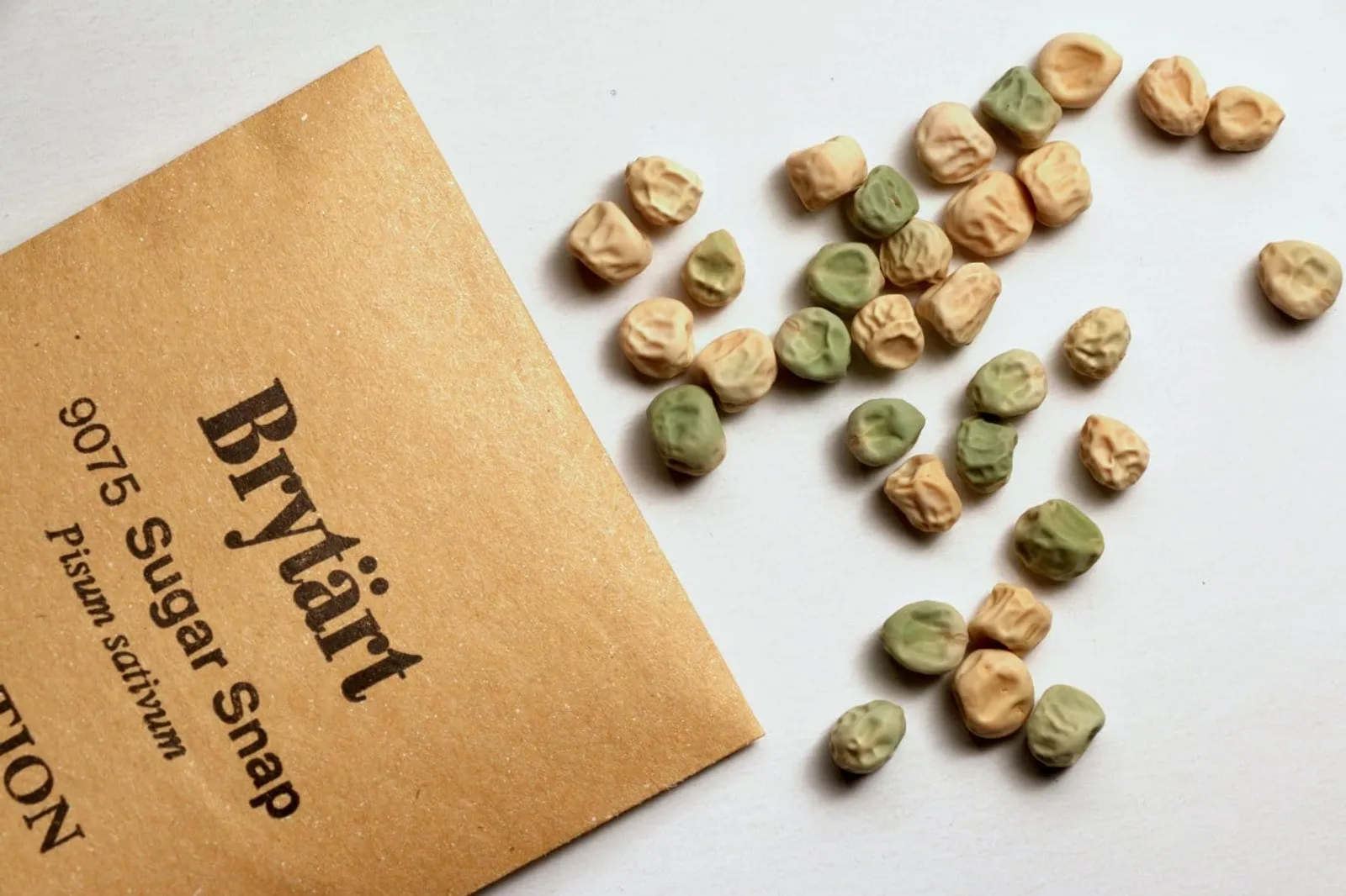 Brytärt 'Sugar Snap', ekofrö - bild 2