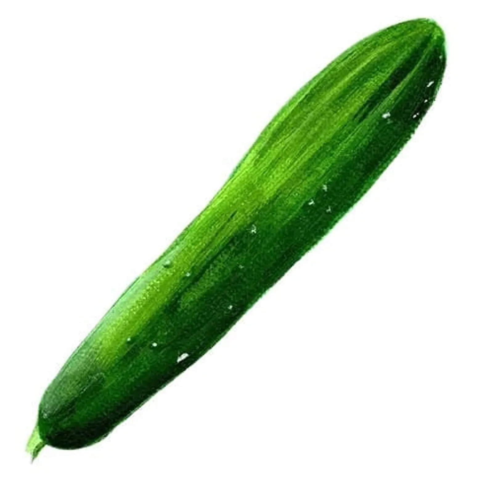 Gurka 'Gergana', Frö - bild 1