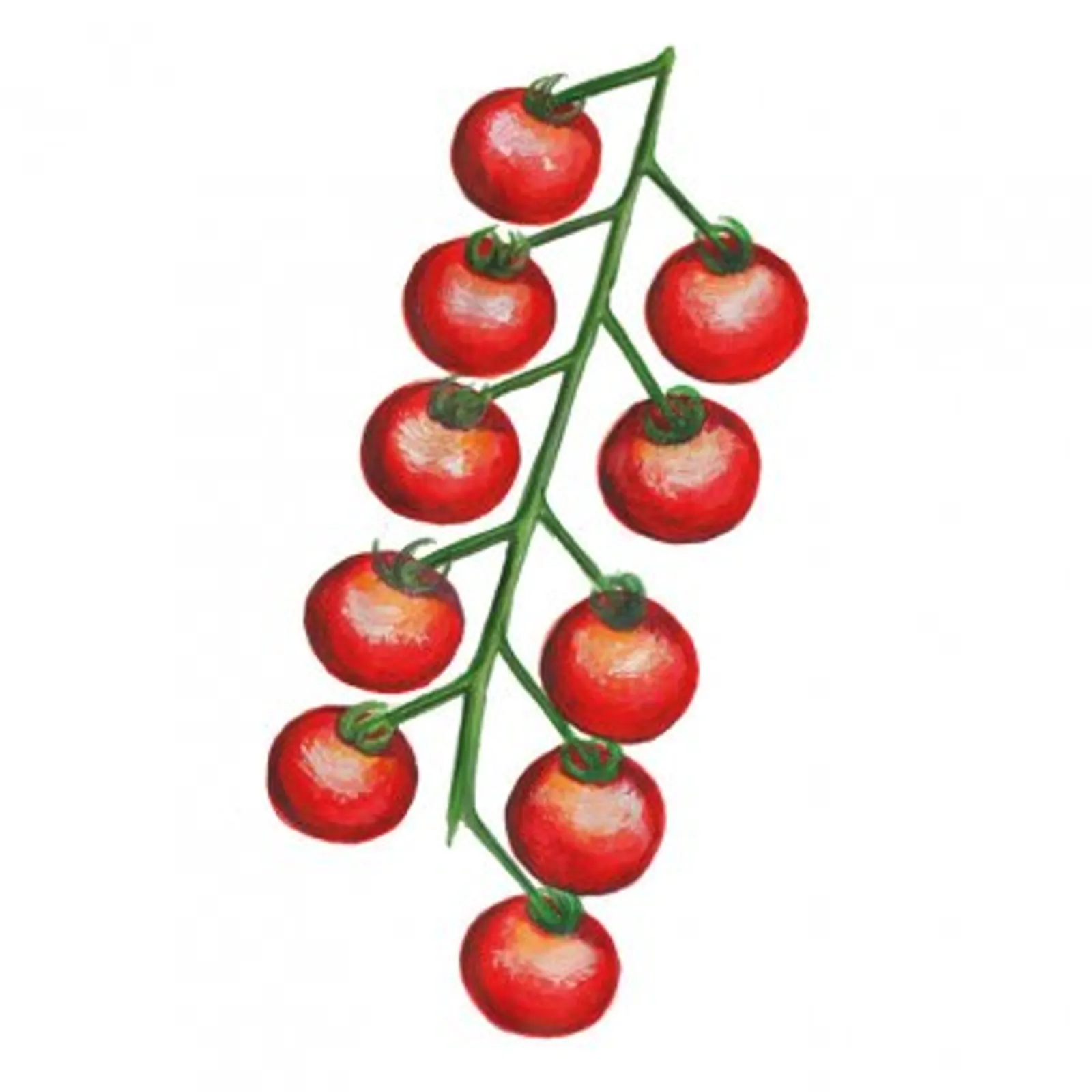 Körsbärtomat 'Röd Blomme', Frö - bild 1