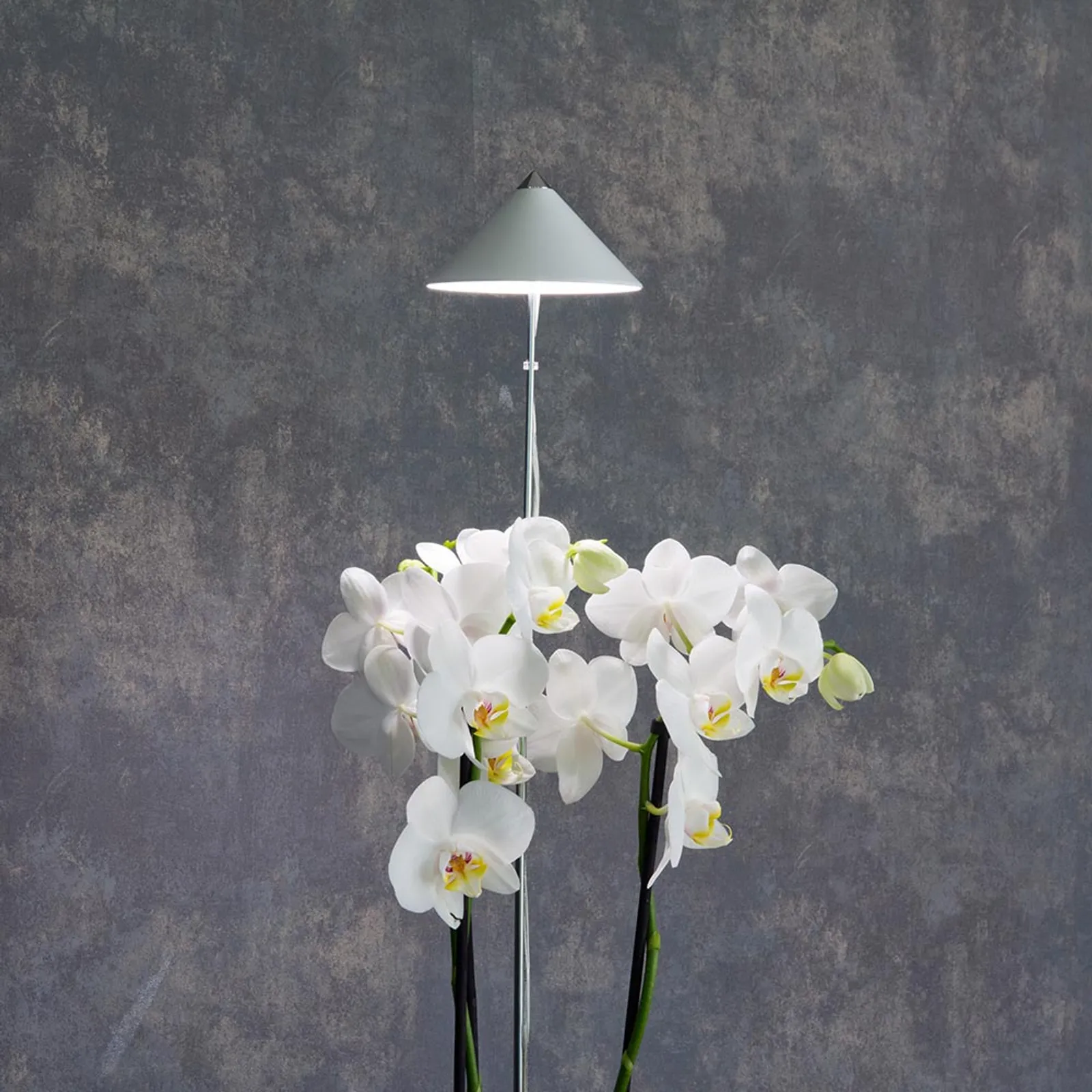 Växtlampa Venso Sunlite Orchid Vit 10W - bild 1