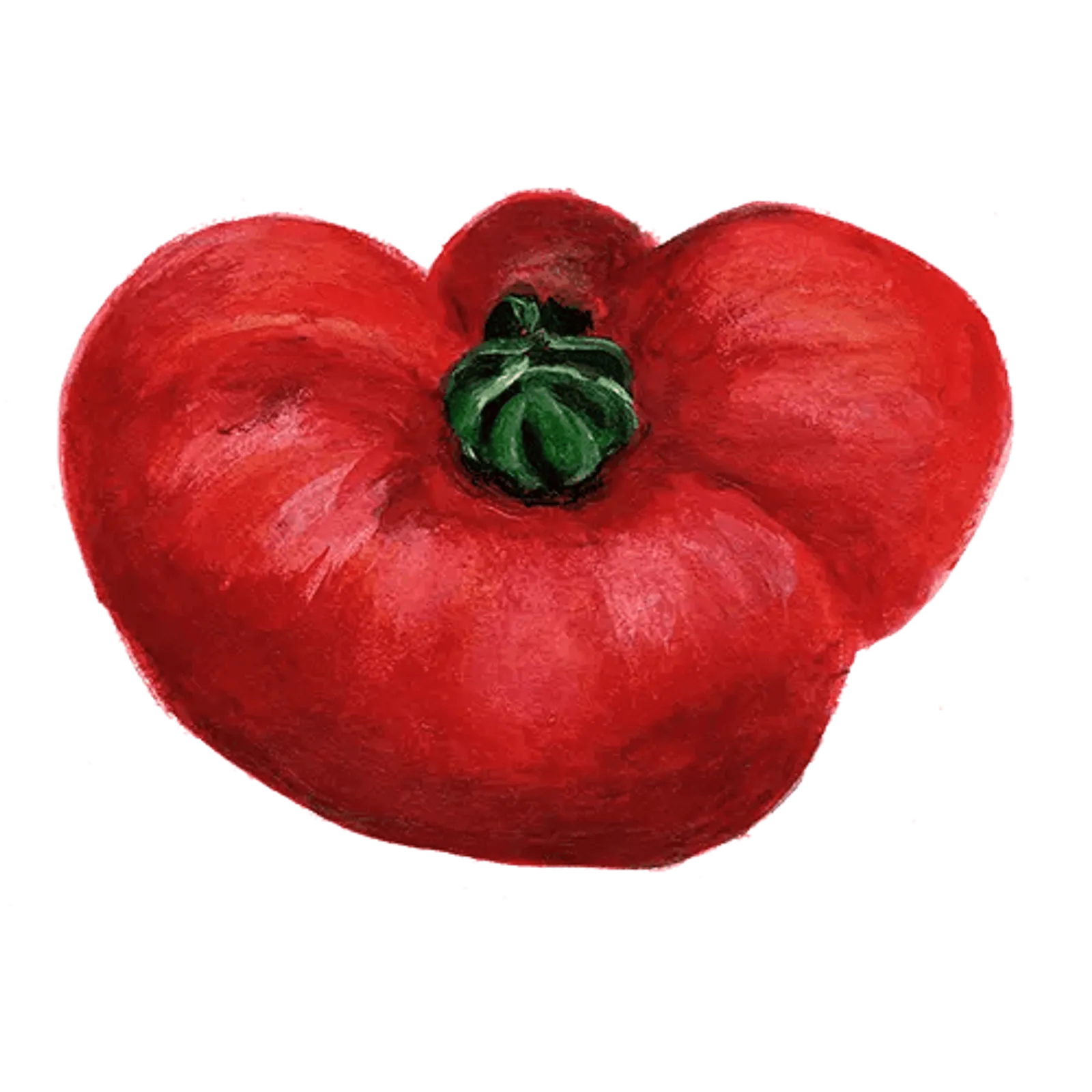 Bifftomat 'Marmande', Frö - bild 1
