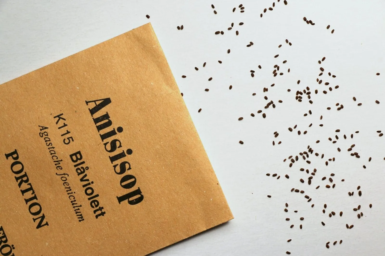 Anisisop 'Anisisop, blåviolett', ekofrö - bild 2