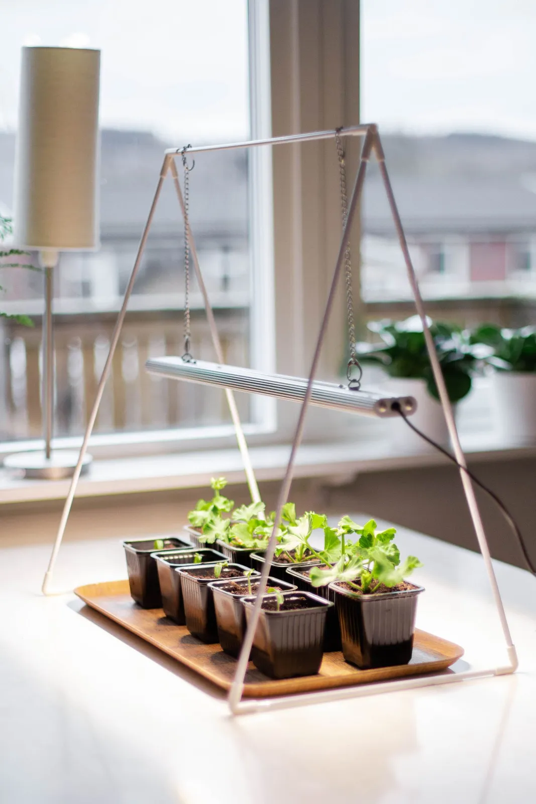 Växtlampa Venso Growlight Duo 3E - bild 1