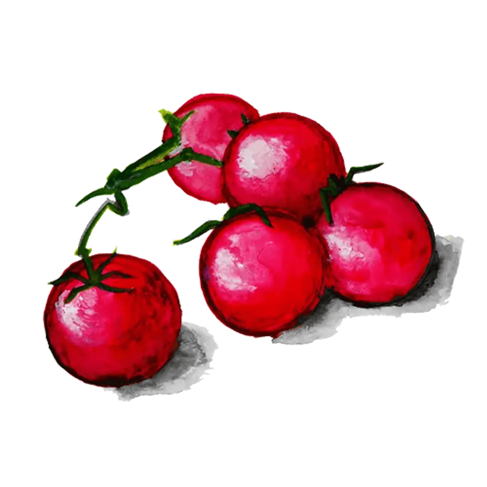 Tomat 'Chilega', Frö - bild 1