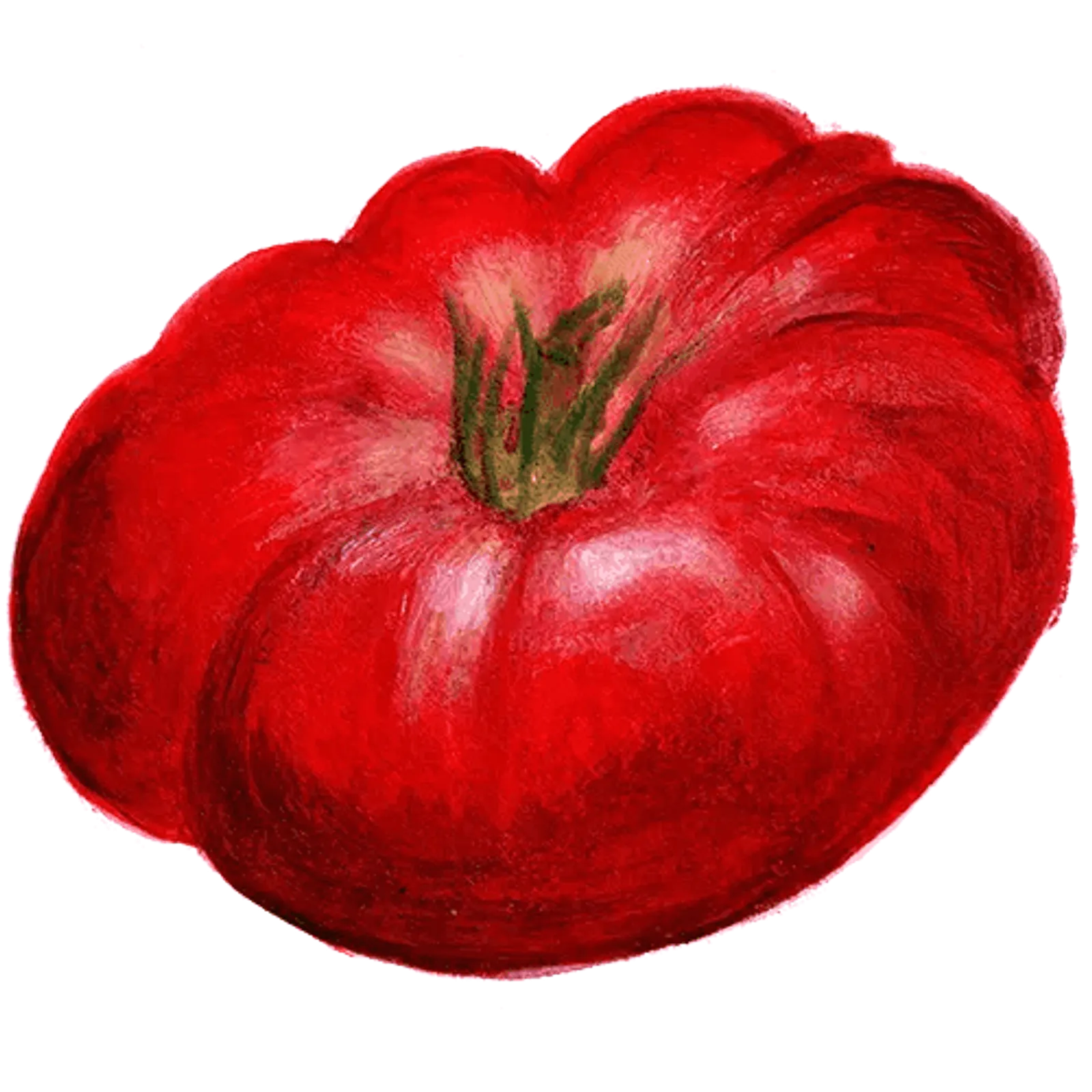 Tomat 'Brandywine', Frö - bild 1