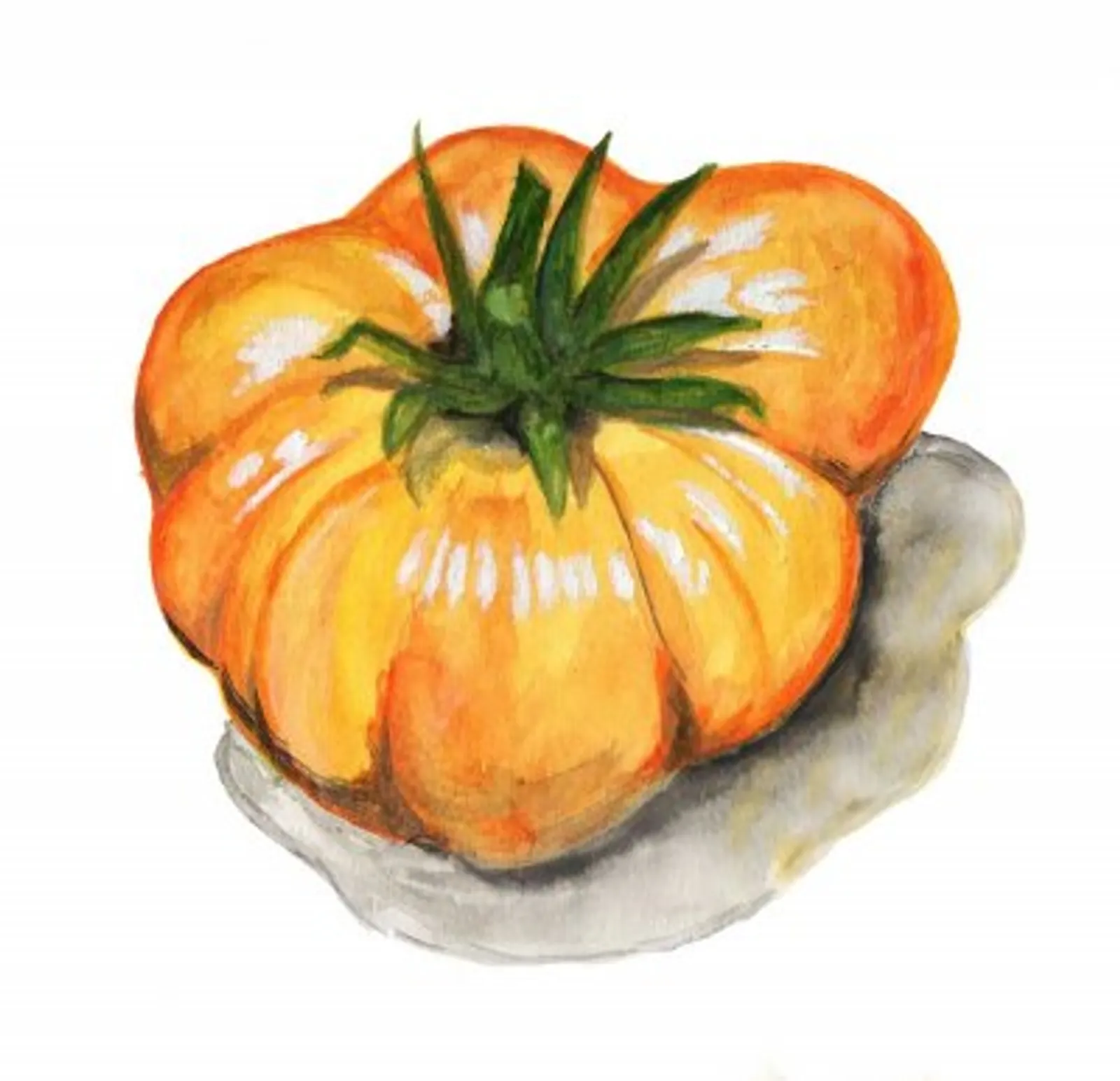 Bifftomat 'Yellow Brandywine', Frö - bild 1