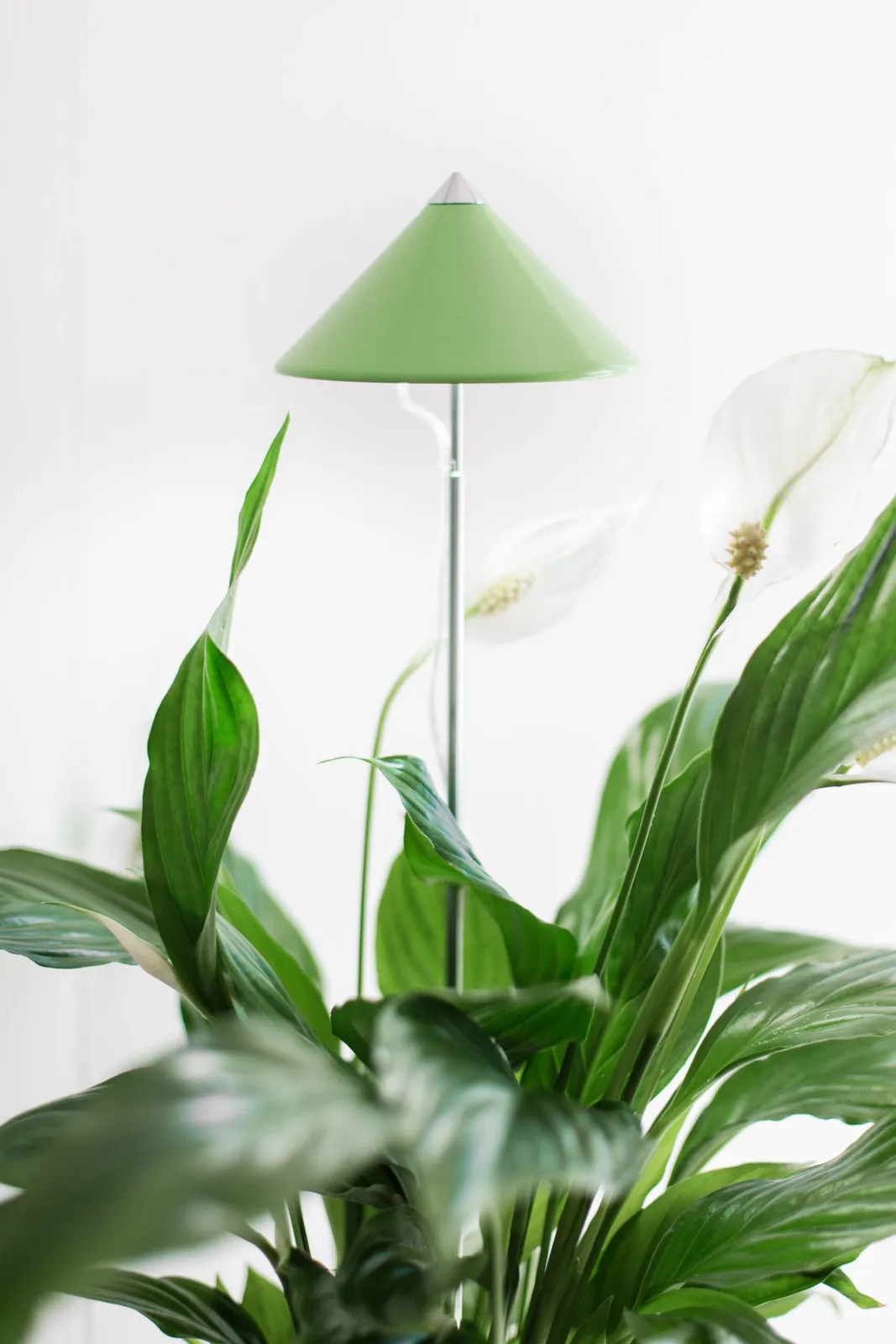 Växtlampa Venso Sunlite Limegrön 7W - bild 1