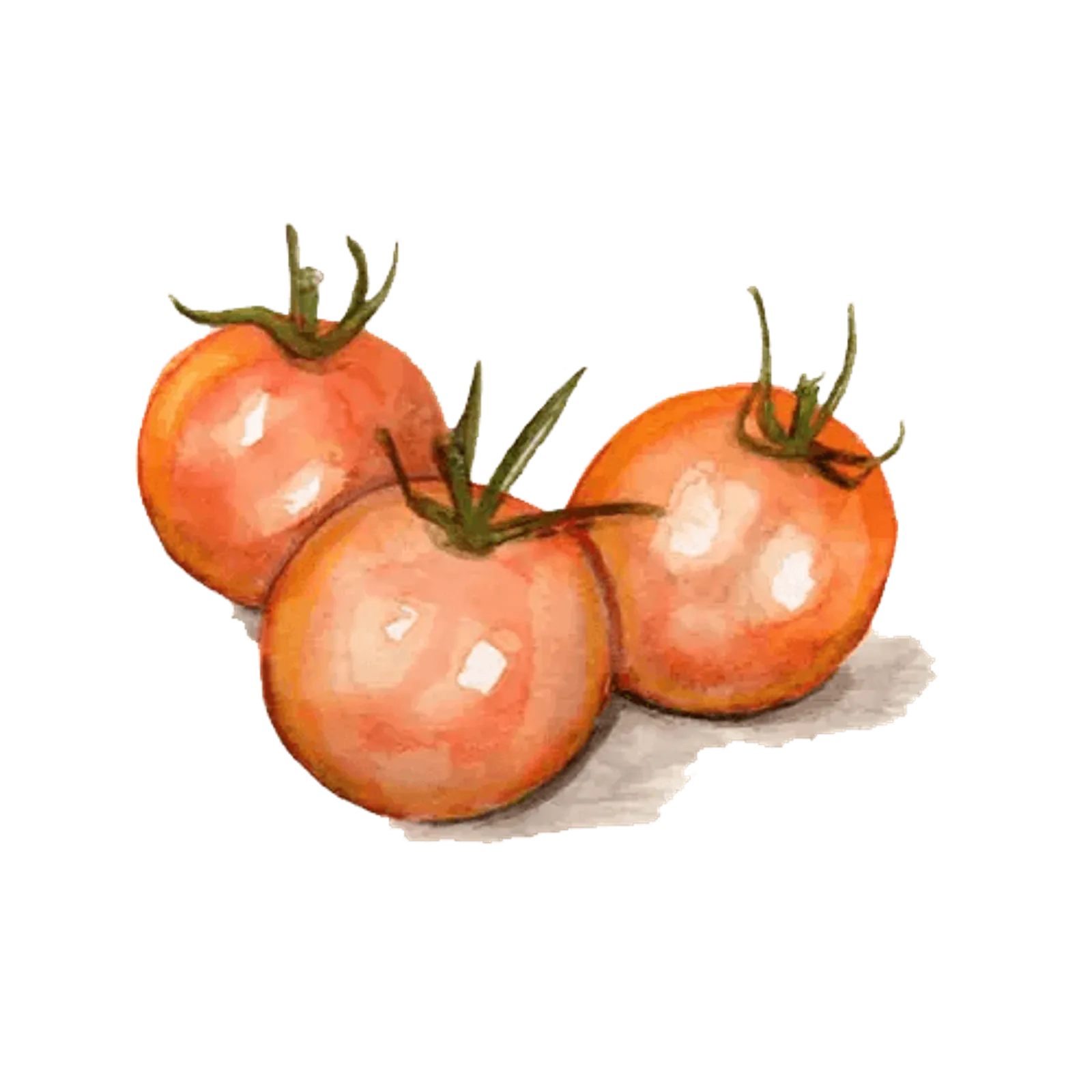 Körsbärstomat 'Goldiana', Frö - bild 1