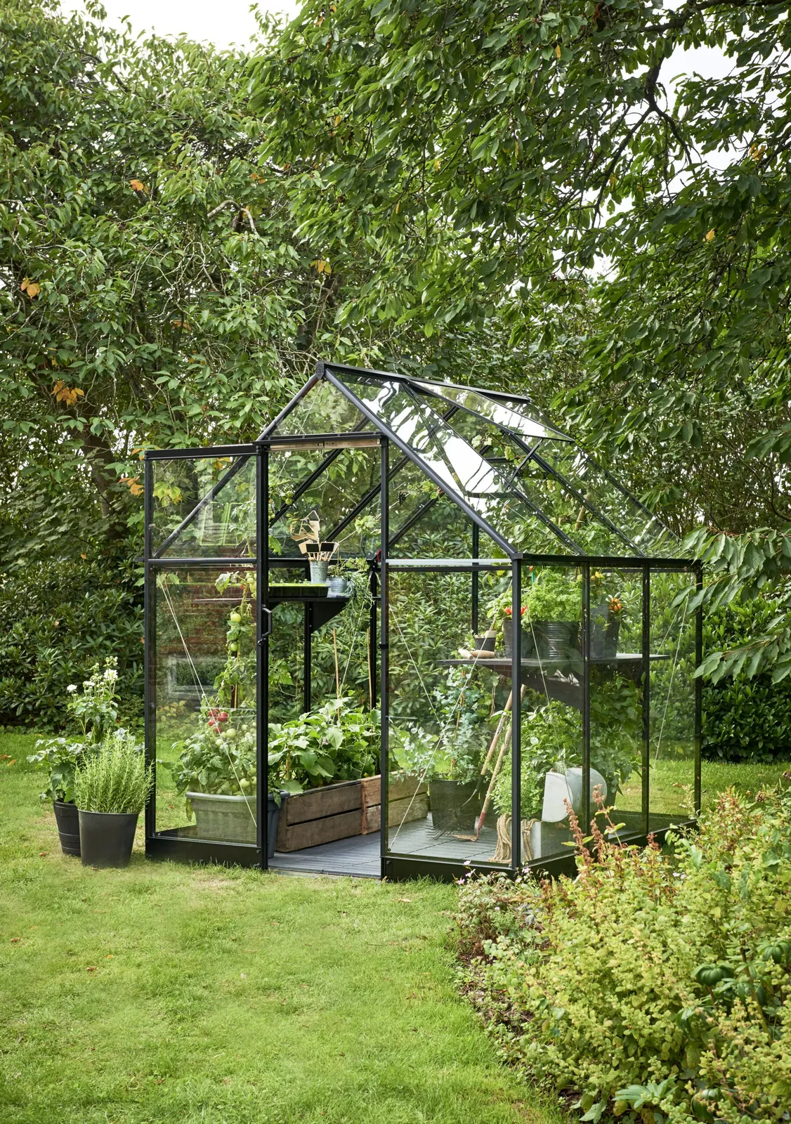 Växthus Halls Qube 66 Svart 3,9 m² Härdat Glas - bild 2