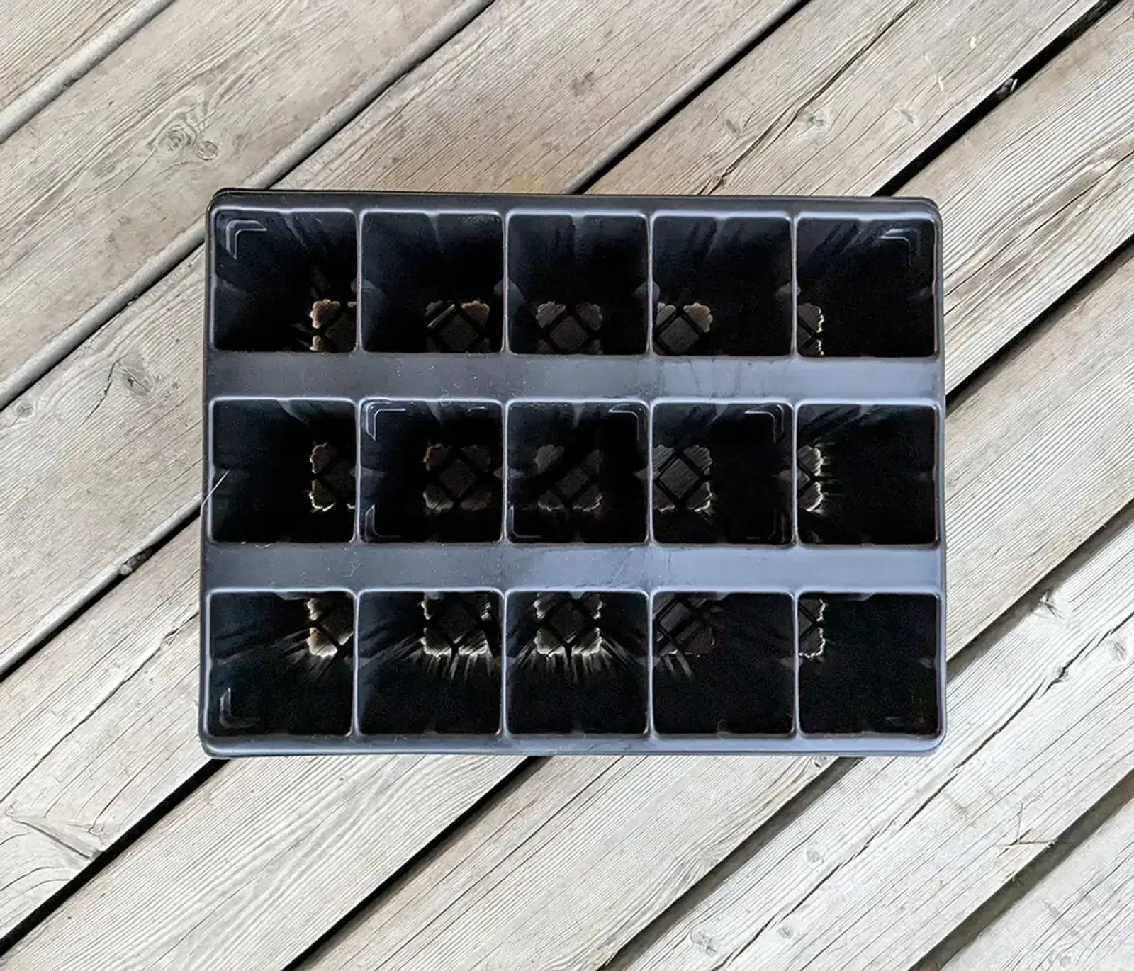 Pluggbrätte Quickpot 15 T/15 (15 celler) - bild 2