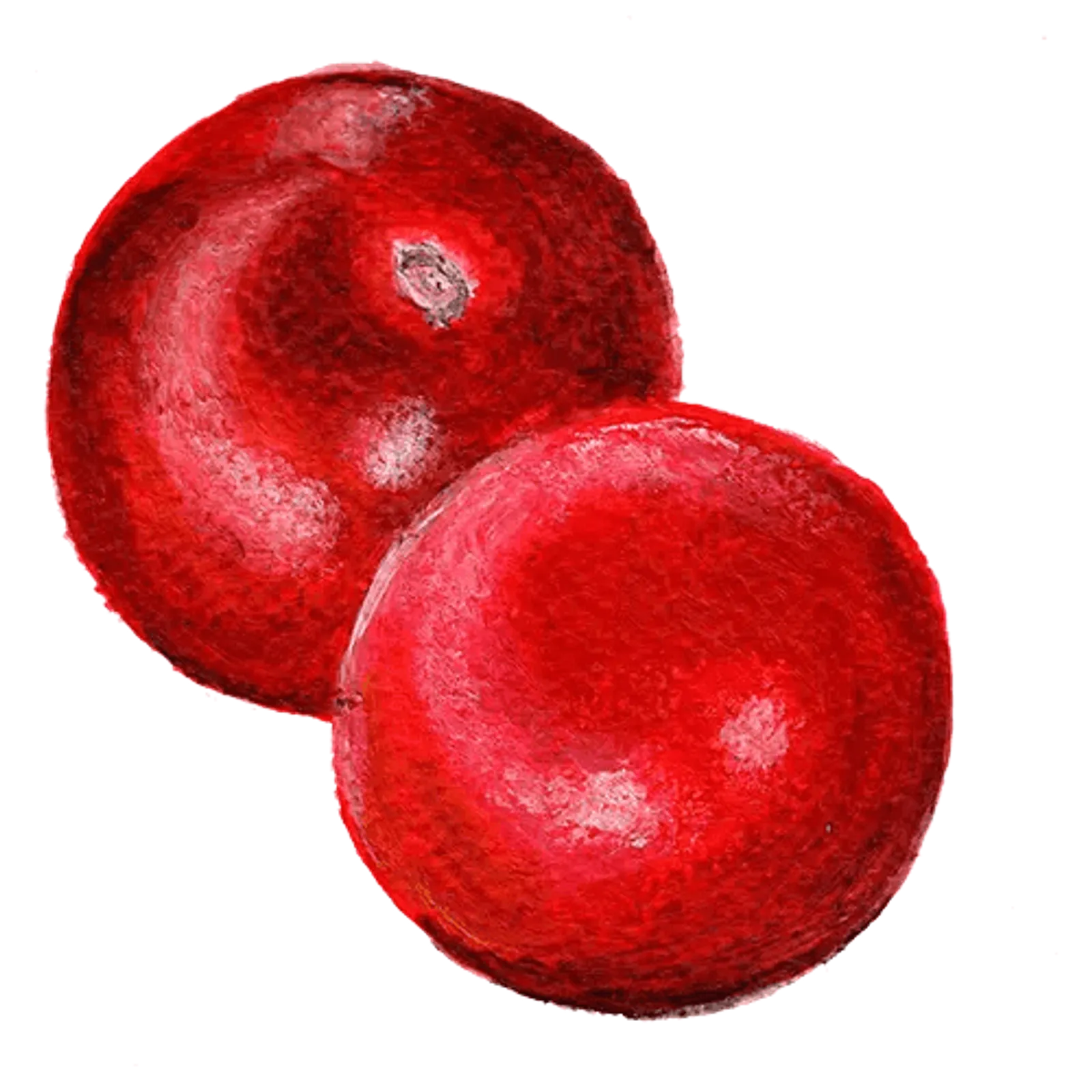 Tomat 'Black Ethiopian', Frö - bild 1