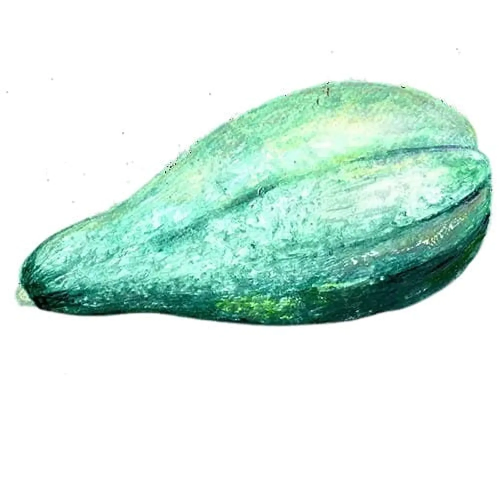 Vintersquash 'Blue Banana', Frö - bild 1